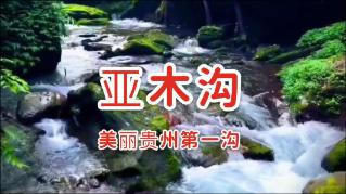 舞者芭比