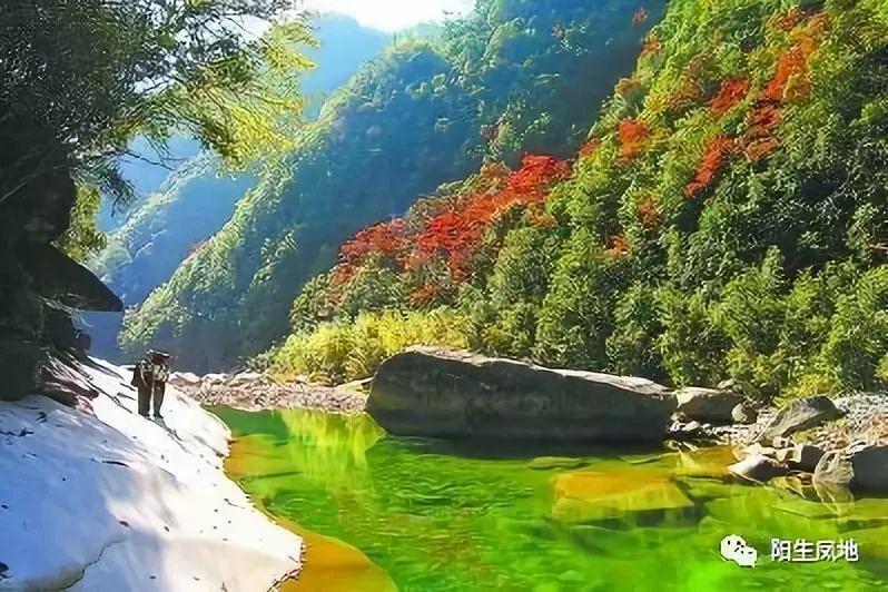 绿茵之巅